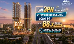 750 Triệu - Có Thể Mở Khóa Căn Hộ 2PN2WC The Aspira Như Thế Nào?-anh-20
