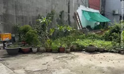 Bán Căn Chung Cư 2 Ngủ Giá Tốt Tại Hải Phòng-anh-8