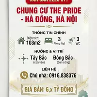 Bán căn hộ 103m2 Chung cư The Pride-anh-12