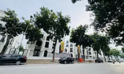 Bán nhanh căn hộ rose town tòa dv3 66m đồ cơ bản giá  bán 4.6 ty rẻ hơn thị trường 300trieuj-anh-13