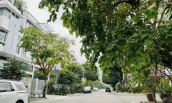 Căn Hộ Cây Mai Q11- 55m² -2PN- 3.19 Tỷ , nội thất , Có Sổ, Thang Máy-anh-15