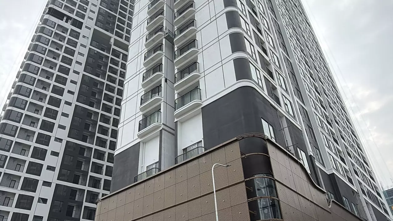 Căn hộ The Emerald 68: Đã đến lúc ĐẾM NGƯỢC NGÀY NHẬN NHÀ!-anh-2