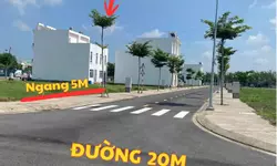 Căn Hộ The Emerald Boulevard Tháng 08/2026 Có Gì Trong Giỏ Hàng?-anh-10