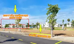 Căn Hộ The Emerald Boulevard Tháng 08/2026 Có Gì Trong Giỏ Hàng?-anh-16