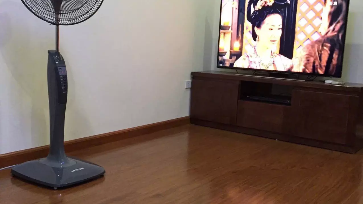 CHÍNH CHỦ CHO THUÊ CĂN HỘ ECOHOME 2N1K FULL NỘI THẤT - CHỈ HƠN 9TR-anh-2