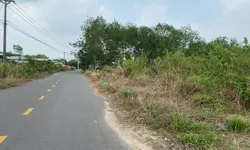 CHO THUÊ CĂN HỘ C-SKYVIEW – CHÁNH NGHĨA, THỦ DẦU MỘT, BÌNH DƯƠNG-anh-12