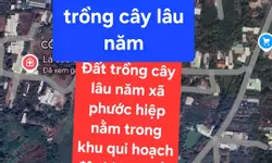 CHO THUÊ CĂN HỘ CAO CẤP 2PN - SUNRISE RIVERSIDE  XÃ NHÀ BÈ, HCM.-anh-17