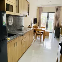 Cho thuê căn hộ mặt tiền Nam Hồ phường 11 Đà Lạt 10 triệu/tháng-anh-9