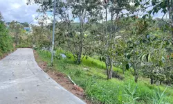 Cho thuê căn hộ mặt tiền Nam Hồ phường 11 Đà Lạt 10 triệu/tháng-anh-13
