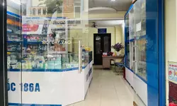 CHO THUÊ CCMN MỚI XÂY FULL NỘI THẤT TẠI ĐA SỸ - HÀ ĐÔNG-anh-13