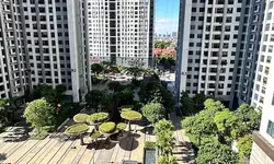 CHO THUÊ CHUNG CƯ THANH HÀ, HÀ NỘI – ĐẦU THÁNG 7-2026-anh-10