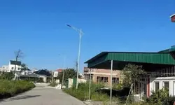 CHO THUÊ LÂU DÀI CHUNG CƯ BẠCH ĐẰNG – TP. HẢI DƯƠNG-anh-10