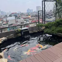 Cho Thuê Penthouse 400m2 Phố Võ Thị Sáu, Hai Bà Trưng - 5PN, Sân Vườn Bể Cá Koi, Làm VP-anh-7