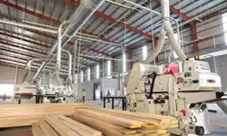 *** Chung cư Cosmo  Quận 7 
* Diện tích : 78m2 
*  Loại căn : 2PN - 2WC-anh-12