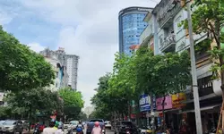Chung cư Toà Tháp doanh nhân Thanh Bình, Mỗ Lao – Hà Đông 3 Phòng ngủ , full nội thất 5.3 tỷ.-anh-20