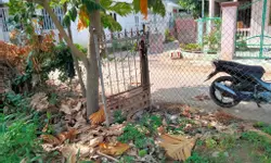 Cơ hội sở hữu căn hộ Alora Nha Trang giữa quần thể nghỉ dưỡng đẳng cấp chỉ từ 1,36 tỷ.-anh-9