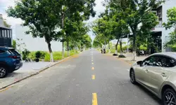 Đô thị biển, bán đảo Sơn Trà mang nhịp sống riêng, với hệ sinh thái rừng, biển nguyên bản hiếm có-anh-13