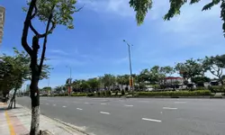 Đô thị biển, bán đảo Sơn Trà mang nhịp sống riêng, với hệ sinh thái rừng, biển nguyên bản hiếm có-anh-14