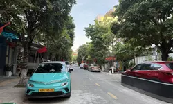 Đô thị biển, bán đảo Sơn Trà mang nhịp sống riêng, với hệ sinh thái rừng, biển nguyên bản hiếm có-anh-15