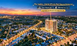 Giỏ Hàng Căn Hộ The Aspira - Chỉ Từ 1,79 Tỷ, Đón Đầu Vành Đai 3, Metro Số 1 Ngay Vùng TOD-anh-4