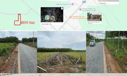 GIỎ HÀNG CĂN HỘ THE EMERALD BOULEVARD THÁNG 09/2026-anh-4