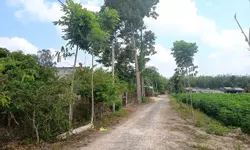 GOLDEN CITY TÂY NINH – SỞ HỮU CĂN HỘ TRUNG TÂM, ĐÓN ĐẦU CUỘC SỐNG TIỆN NGHI ĐẲNG CẤP-anh-10