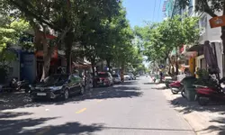 TÒA CĂN HỘ VIEW BIỂN – 3 MẶT THOÁNG | DÒNG TIỀN 250 TRIỆU/THÁNG-anh-20