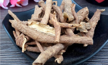 cong-dung-chua-benh-cua-ngu-gia-bi