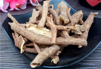 cong-dung-chua-benh-cua-ngu-gia-bi