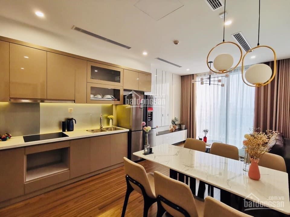 Cam kết giá rẻ nhất cho thuê chung cư discovery 302 cầu giấy, 2 3 4pn vào ngay. 0972,699.780-anh-1
