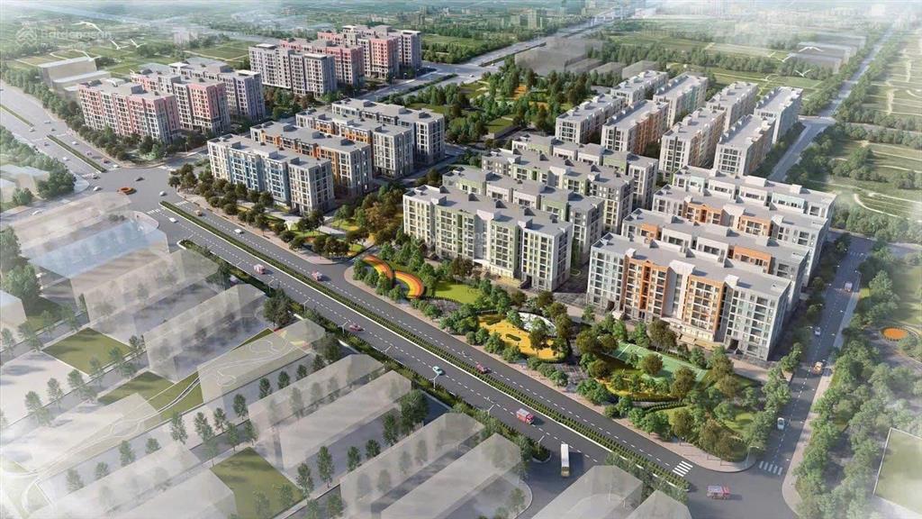 Căn hộ chung cư nhà ở xã hội vin tràng cát happy home-anh-2
