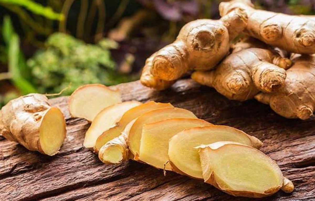 Bài Thuốc Cổ Truyền Đơn giản Chữa Nhiều Bệnh