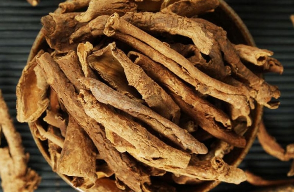 Công dụng chữa bệnh của ngũ gia bì 3
