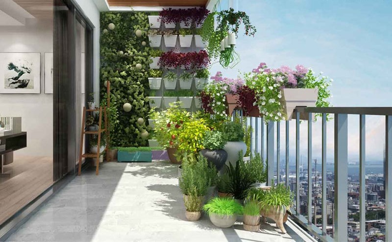 Lựa chọn cây cảnh phù hợp là điều quan trọng nhất trong việc trồng cây xanh trên ban công.