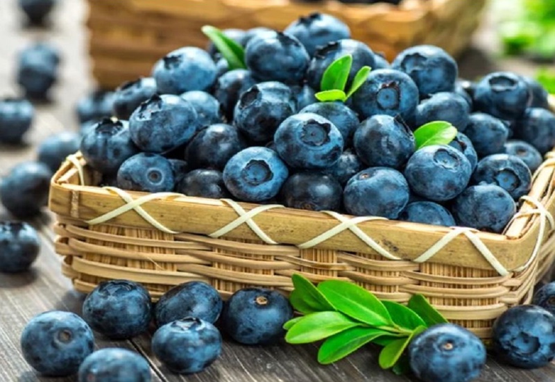trái Việt quất (với chất dinh dưỡng vitamin A) mới được bổ xung vào thành phần của  PT. Chance